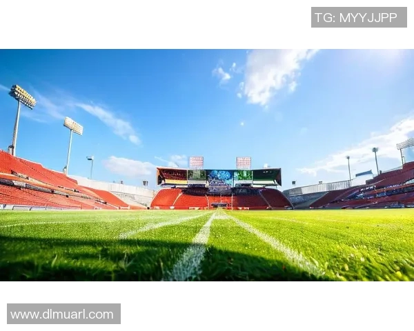 狗老师足球带你领略绿茵场上的激情与梦想，开启属于你的足球之旅